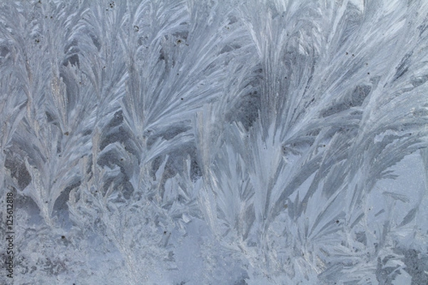 Obraz Ice frost on window