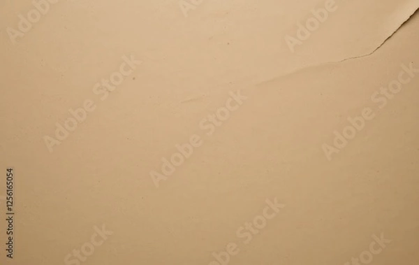 Fototapeta cardboard paper texture background