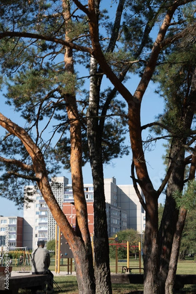Fototapeta photo Urban Oasis: Trees and Play Area Providing Natural Retreat Within Cityscape Amidst Residential Buildings and Leisure Activities in a Tranquil Environment