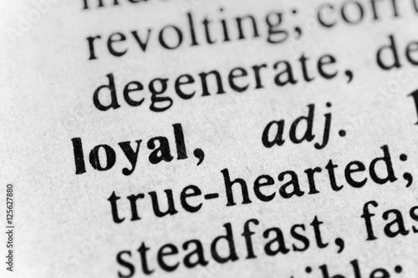 Obraz Loyal