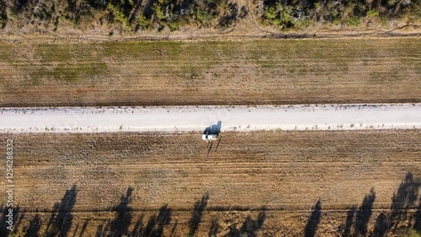 Obraz dust road an car
