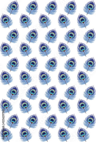 Obraz Vector pattern of peacock feathers