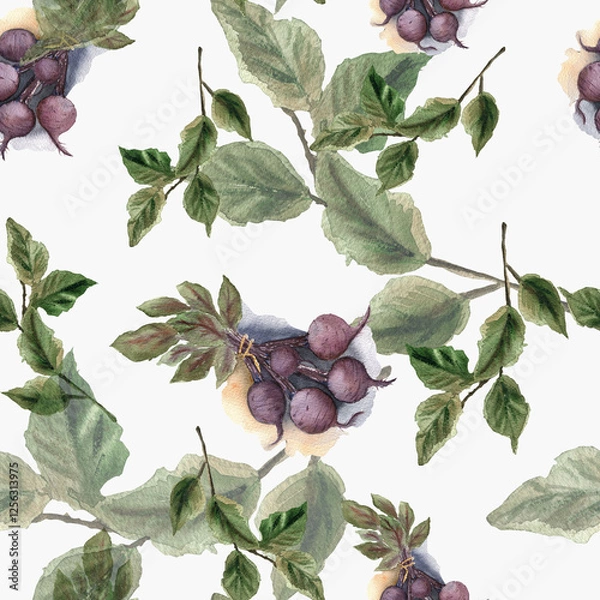 Obraz 

Watercolor seamless background with garden beets and leaves.