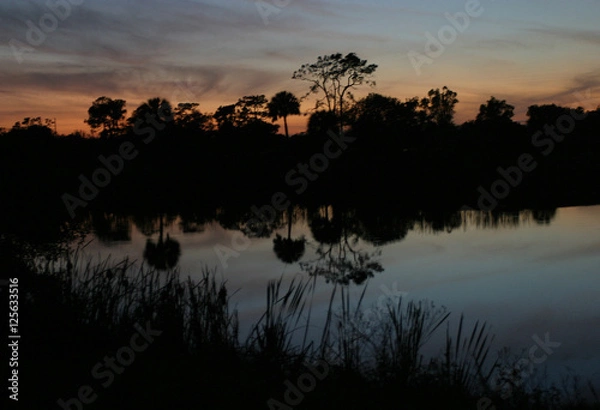 Fototapeta swmp reflection