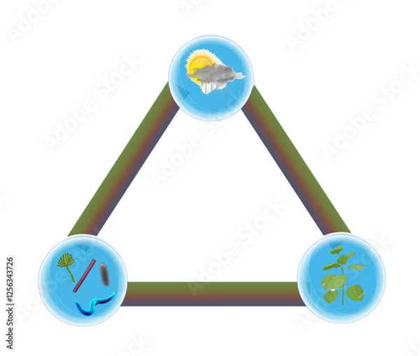 Obraz Disease Triangle