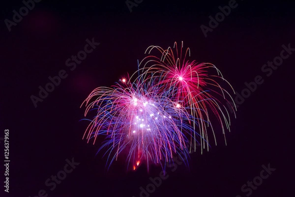 Obraz Feux d’artifice 2