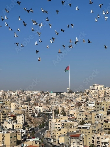 Obraz Amman birds