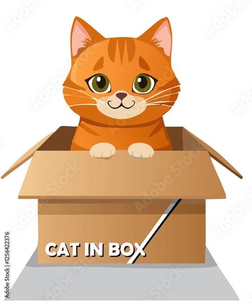 Fototapeta cat in box