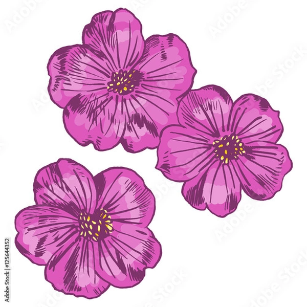 Obraz Exotic flowers set. Botanical vector vintage illustration. Design elements.