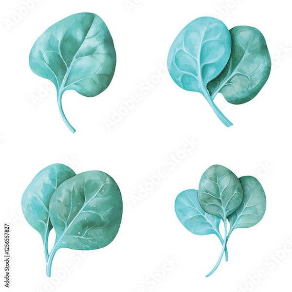 Fototapeta Spinach leaf watercolor set hand drawn