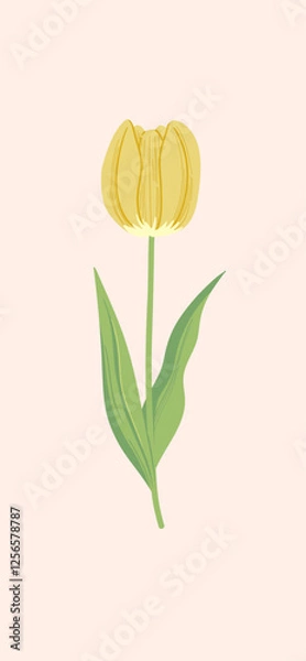 Fototapeta シンプルなチューリップのイラスト - ミニマルデザイン