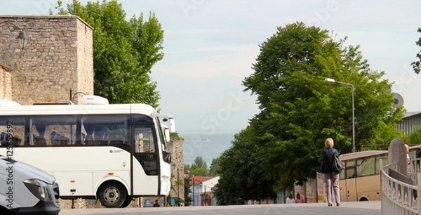 Obraz Coach on a Hill