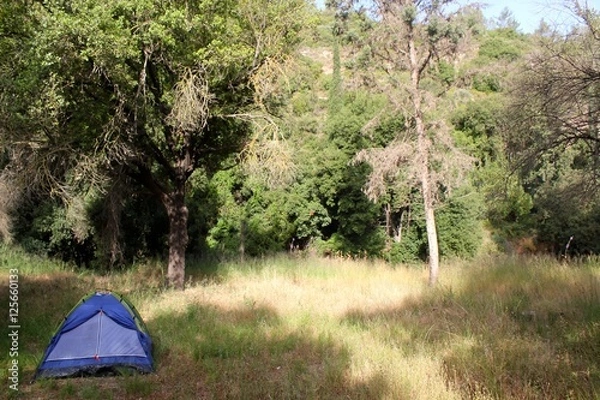 Obraz Tent in a Forest Clearing