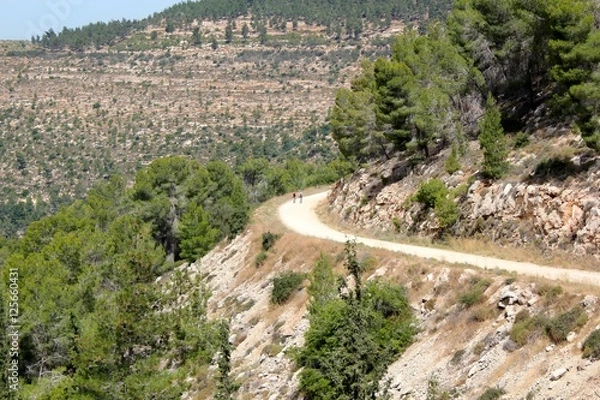 Obraz Winding Sandy Road