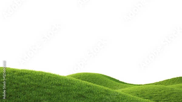 Fototapeta Green field. 3D rendering
