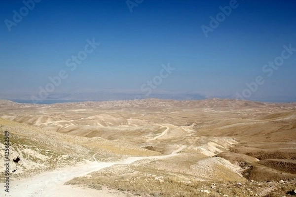 Obraz Long Desert Path