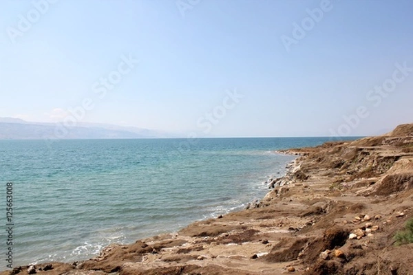 Obraz Dead Sea shore