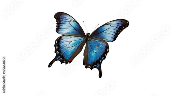 Obraz Majestic Monarch butterfly captured in perfect detail against a pure white background.Generative Ai