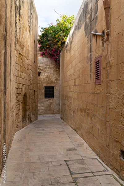 Obraz Traditional house detail in Malta