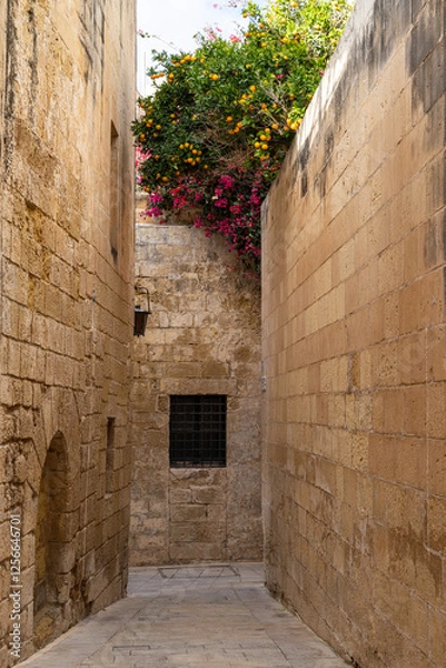 Obraz Traditional house detail in Malta
