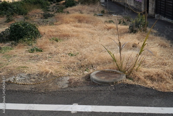 Obraz 住宅街にある空き地