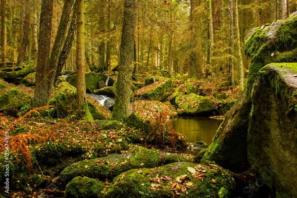 Fototapeta Autumn Creek
