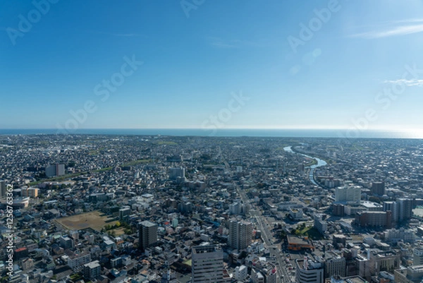 Obraz 冬の浜松市街地の風景