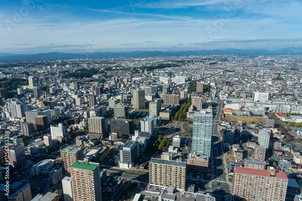 Obraz 冬の浜松市街地の風景