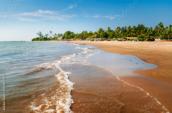 Fototapeta Morjim beach with yellow sand, blue ocean and waves. Wooden fishing boats and palm trees are on a background, North Goa, India. Summertime concept