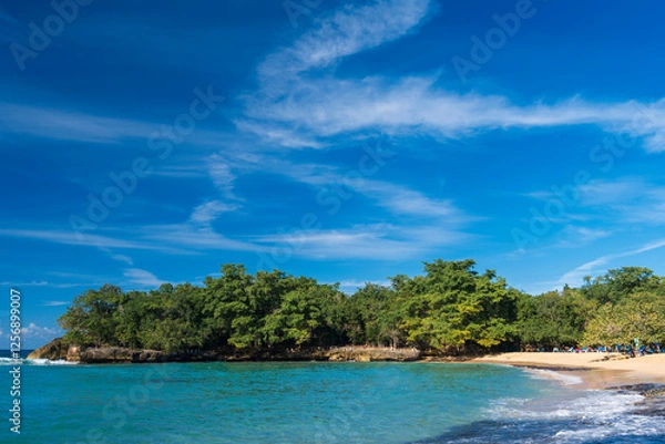 Obraz Playa Caleton beach in Dominican Republic