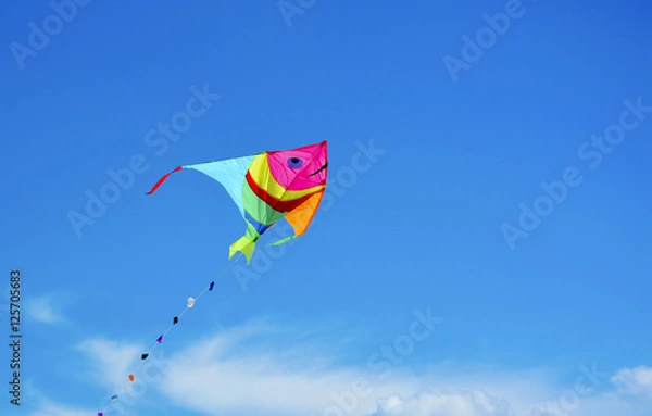 Obraz Colorful kite over blue sky