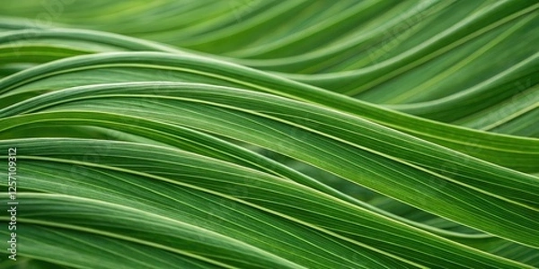 Obraz Organic green lines weave together in a fluid, abstract pattern, reminiscent of nature's own rhythms and cycles, natural, geometric, organic, texture