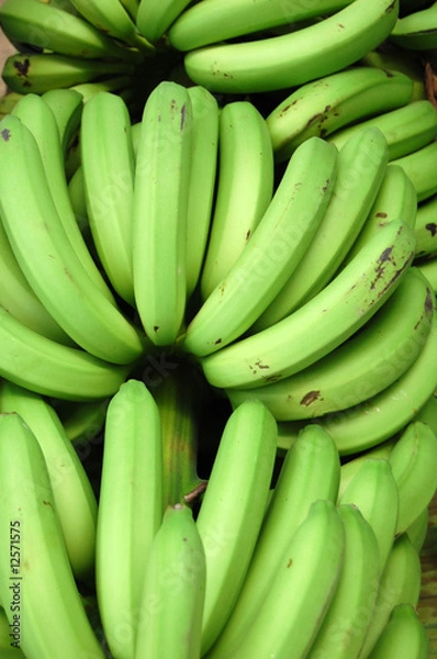 Fototapeta Banana Bunch