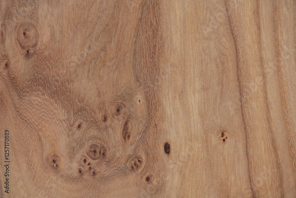 Fototapeta Elm board texture. Texture of natural elm finished board, noble background, close-up, high resolution.