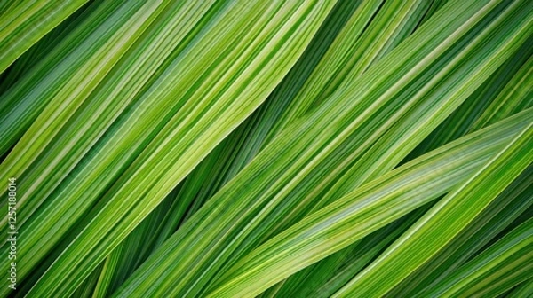Fototapeta Diagonal striped leaves create an abstract pattern with varied shades
