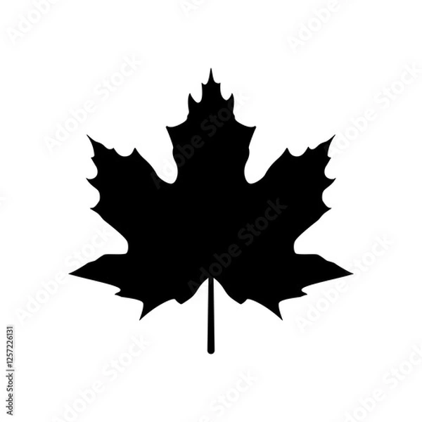 Obraz Maple leaf vector black color isolated.