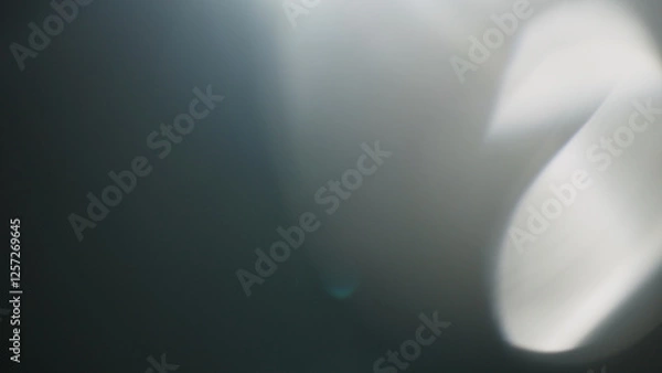 Obraz Real lens flare from optics with bokeh and obstruction on foreground