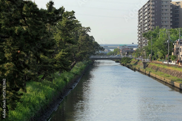 Fototapeta 草加松原遊歩道脇の綾瀬川