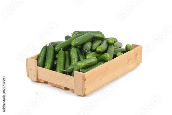 Obraz Gurken in einer Kiste