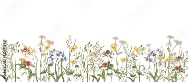 Obraz seamless pattern watercolor wild flowers