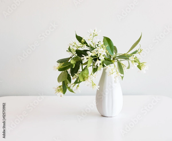 Fototapeta Star jasmine in small white vase on table against neutral background