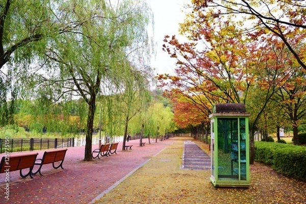 Obraz 가을의 공원과 도서관