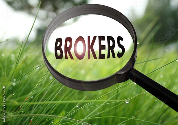 Obraz brokers