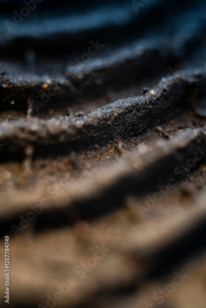 Fototapeta Tyre Tracks on the ground