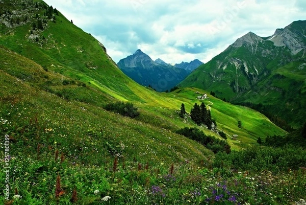 Fototapeta Austrian Alps - view of the Biberkopf mountain near the town of Warth in the Lechtal Alps