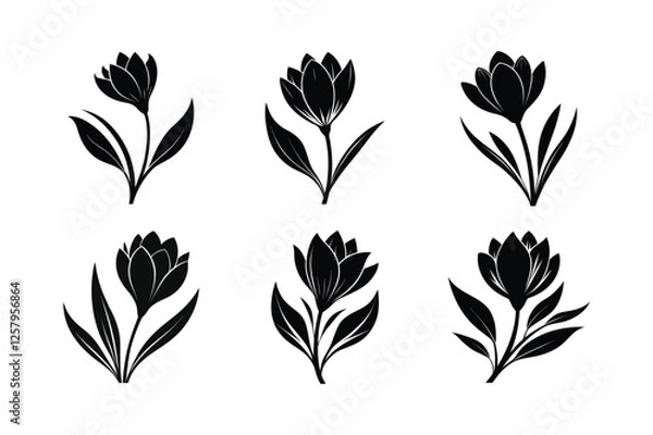 Fototapeta Crocus (Crocus spp.) silhouette vector illustration