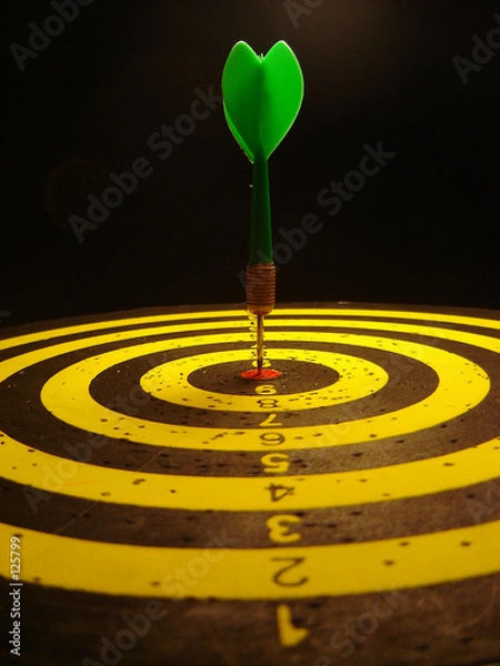 Obraz hit the target