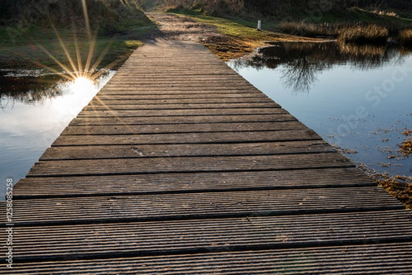 Obraz A rustic wooden footbridge stretches over a calm pond on Schiermonnikoog, reflecting the warm glow of the setting sun.