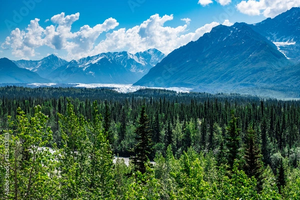 Obraz Alaska wilderness with snowcapped mountains, rivers and lakes