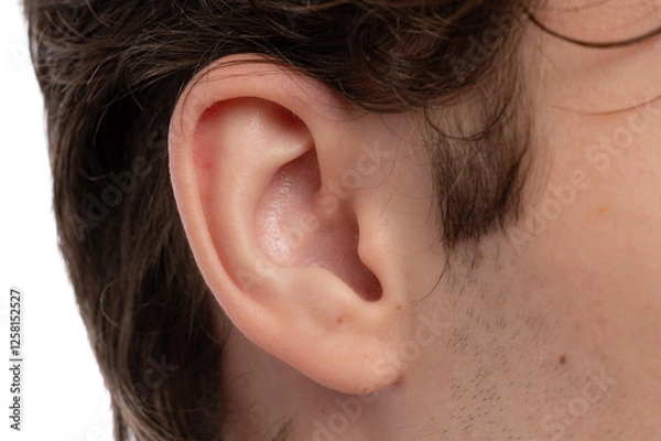 Fototapeta A close-up view of a human ear with light skin tone against a white background.